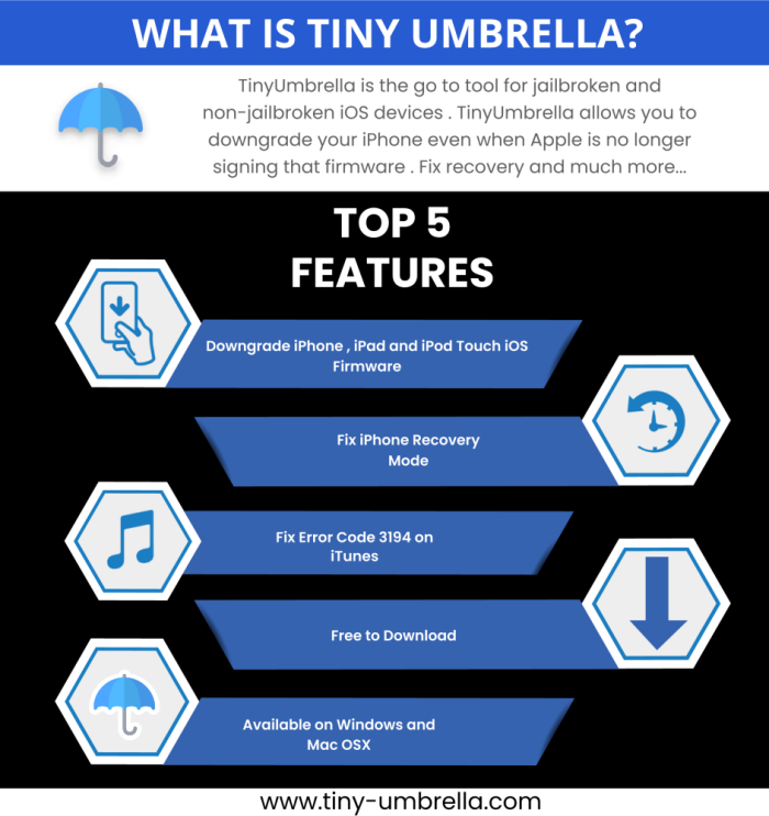 tinyumbrella infographic
